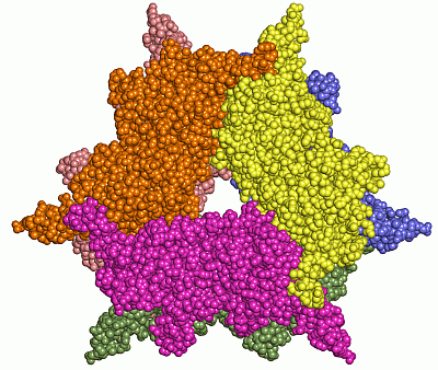 Image Asym./Biol. Unit - manually