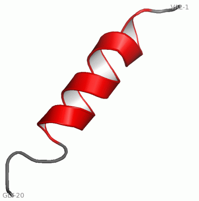 Image NMR Structure - manually