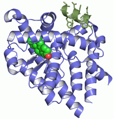 Image Asym./Biol. Unit - manually