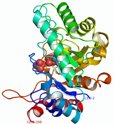 Image Asym./Biol. Unit - manually