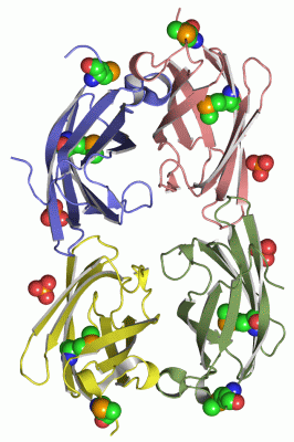 Image Asym./Biol. Unit - manually