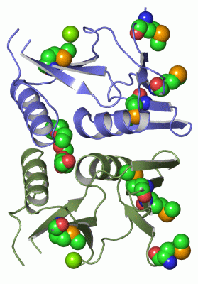 Image Asym.Unit - manually