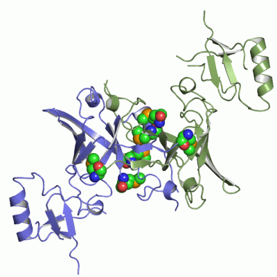 Image Asym./Biol. Unit - manually