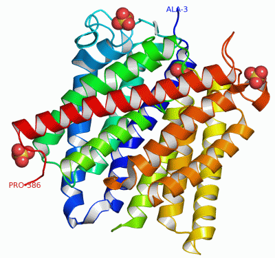 Image Asym.Unit - manually
