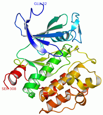 Image Asym./Biol. Unit - manually