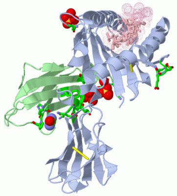 Image Asym./Biol. Unit - manually