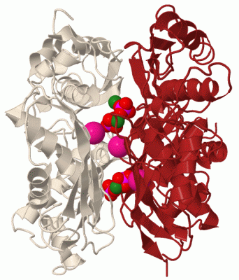 Image Biol.Unit 1 - manually