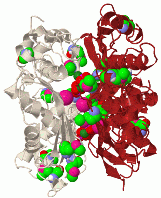 Image Biol.Unit 1 - manually