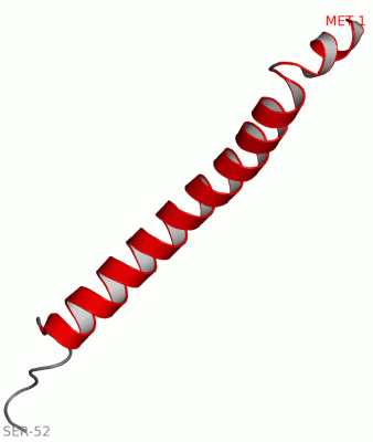 Image NMR Structure - manually