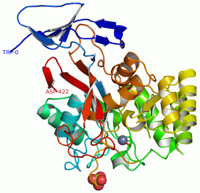 Image Asym./Biol. Unit - manually