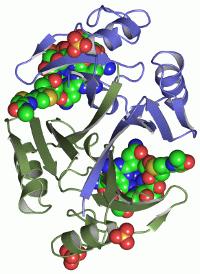 Image Asym./Biol. Unit - manually