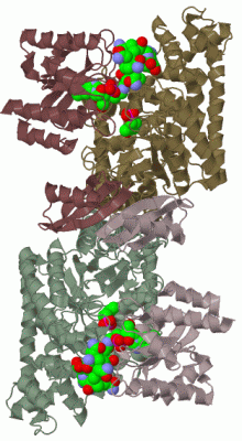 Image Biol.Unit 1 - manually