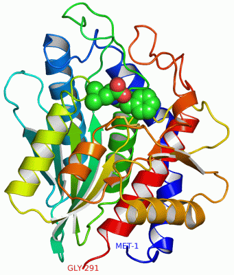 Image Asym./Biol. Unit - manually