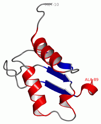 Image NMR Structure - manually