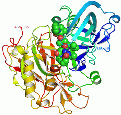 Image Asym./Biol. Unit - manually