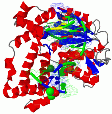 Image Biol.Unit 1 - manually