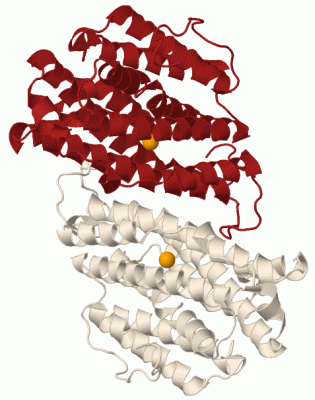 Image Biol.Unit 1 - manually