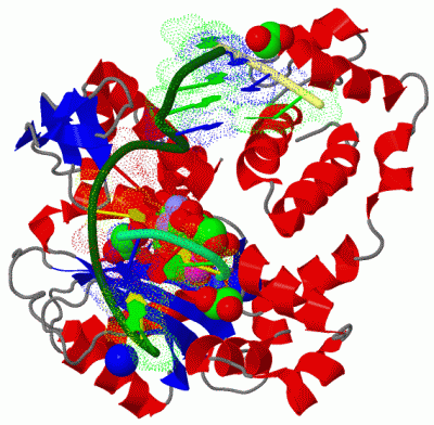 Image Asym./Biol. Unit - manually