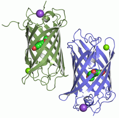 Image Asym./Biol. Unit - manually