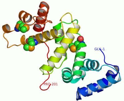 Image Asym./Biol. Unit - manually