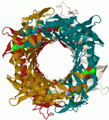 Image Biol.Unit 1 - manually