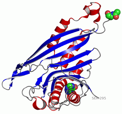 Image Asym.Unit - manually