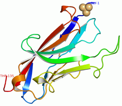 Image Asym./Biol. Unit - manually