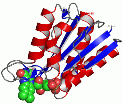Image Asym./Biol. Unit - manually