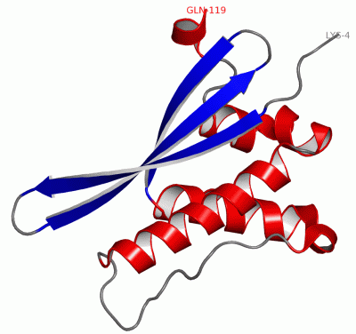 Image Asym./Biol. Unit - manually