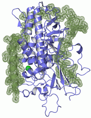 Image Asym./Biol. Unit - manually