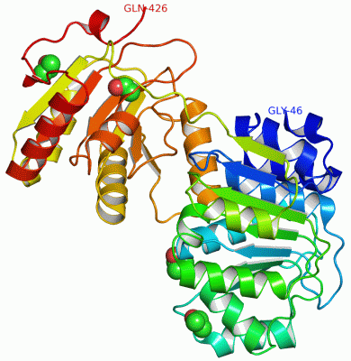 Image Asym./Biol. Unit - manually