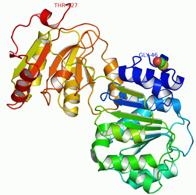 Image Asym./Biol. Unit - manually