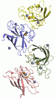 Image Asym.Unit - manually