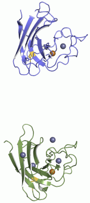 Image Asym.Unit - manually