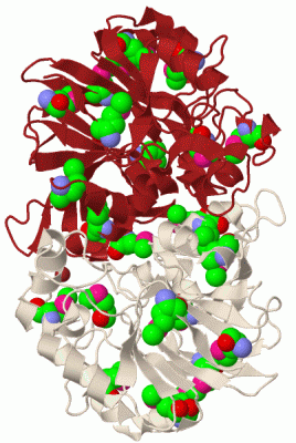 Image Biol.Unit 1 - manually