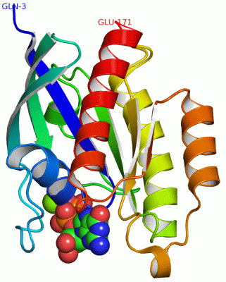 Image Asym./Biol. Unit - manually