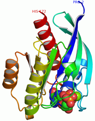 Image Asym./Biol. Unit - manually