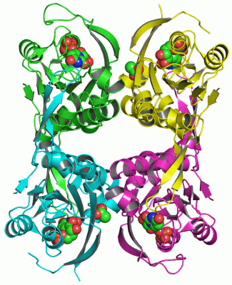 Image Asym./Biol. Unit - manually