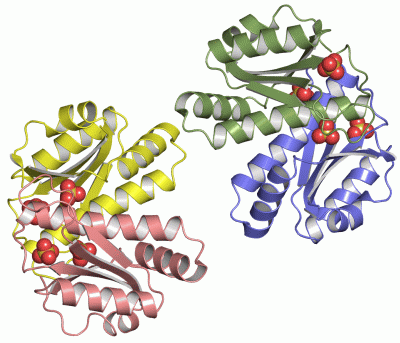 Image Asym.Unit - manually