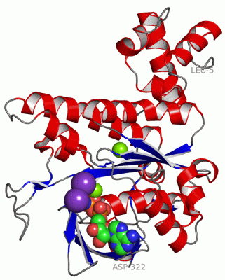 Image Asym./Biol. Unit - manually