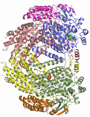 Image Asym./Biol. Unit - manually