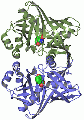 Image Asym./Biol. Unit - manually