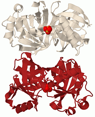 Image Biol.Unit 1 - manually