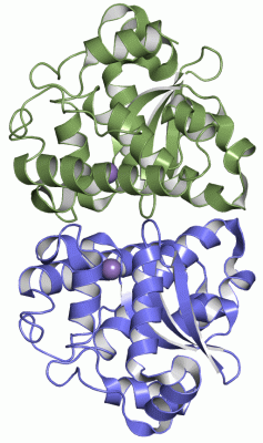 Image Asym./Biol. Unit - manually