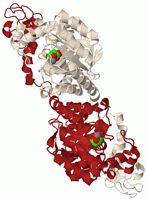 Image Biol.Unit 1 - manually