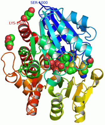 Image Asym./Biol. Unit - manually