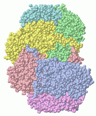 Image Asym./Biol. Unit - manually