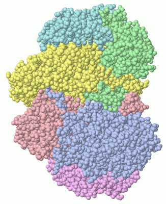 Image Asym./Biol. Unit - manually