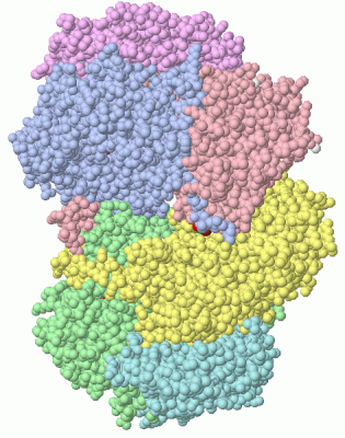 Image Asym./Biol. Unit - manually