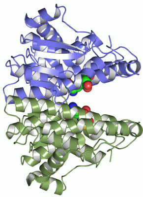 Image Asym./Biol. Unit - manually